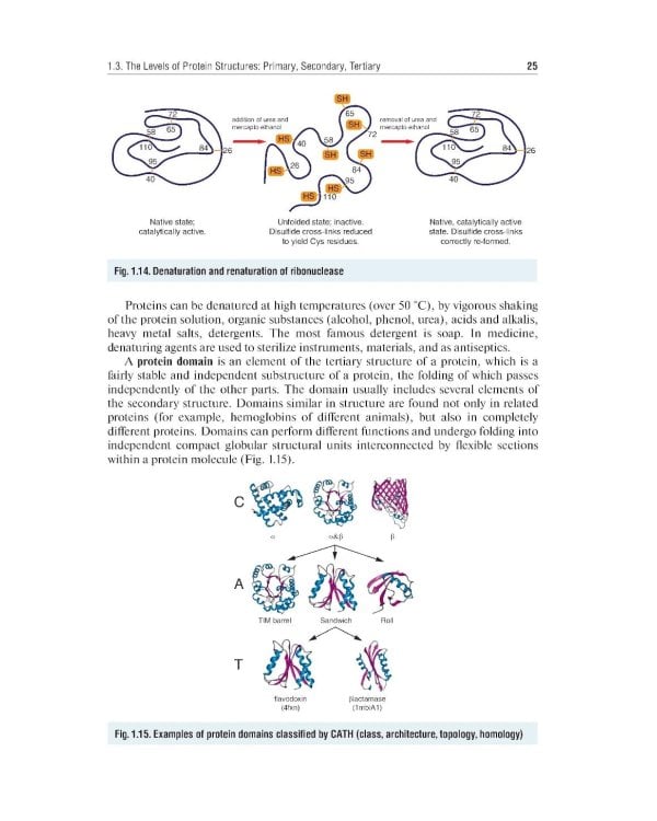 Essential Biochemistry for Medical Students with Problem-Solving Exercises : textbook = Базовый курс биохимии для студентов медицинских специальностей