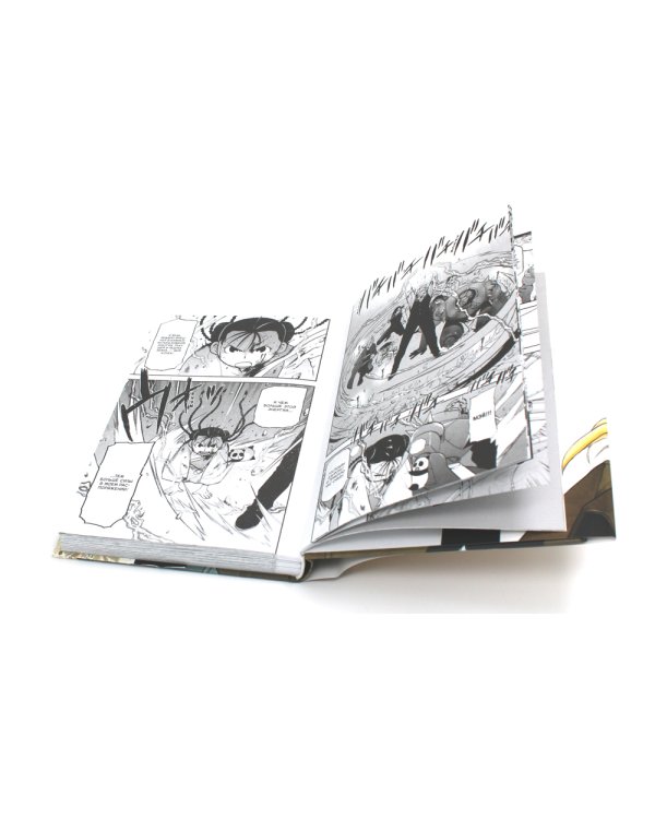 Стальной Алхимик. Кн. 18: манга