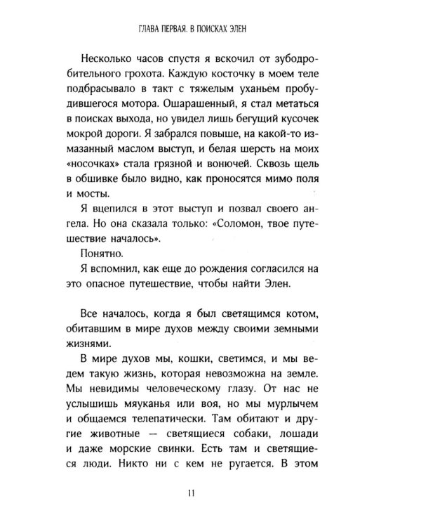 История кота Соломона и Элен, которой было непросто