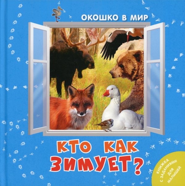 Окошко в мир Кто как зимует?