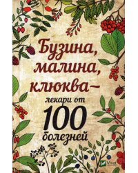 Бузина, малина, клюква - лекари от 100 болезней