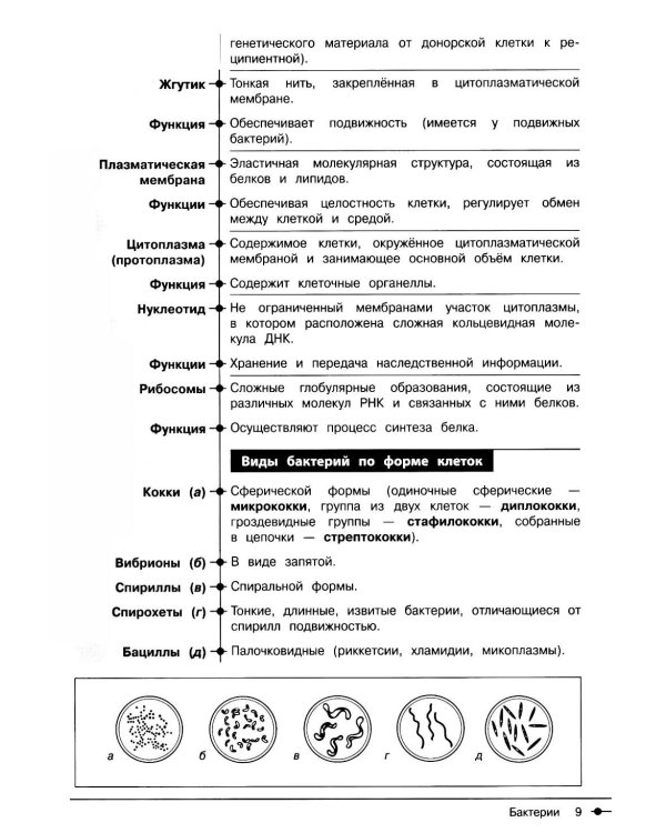 Биология