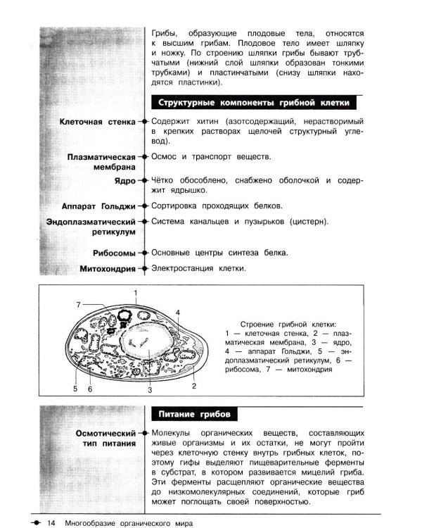 Биология