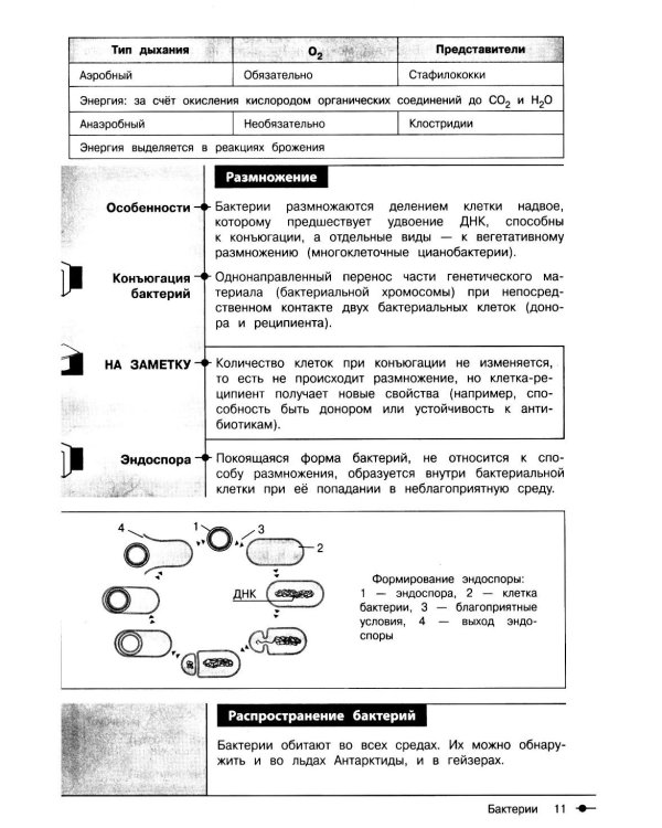 Биология