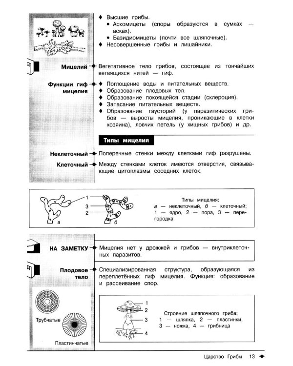 Биология