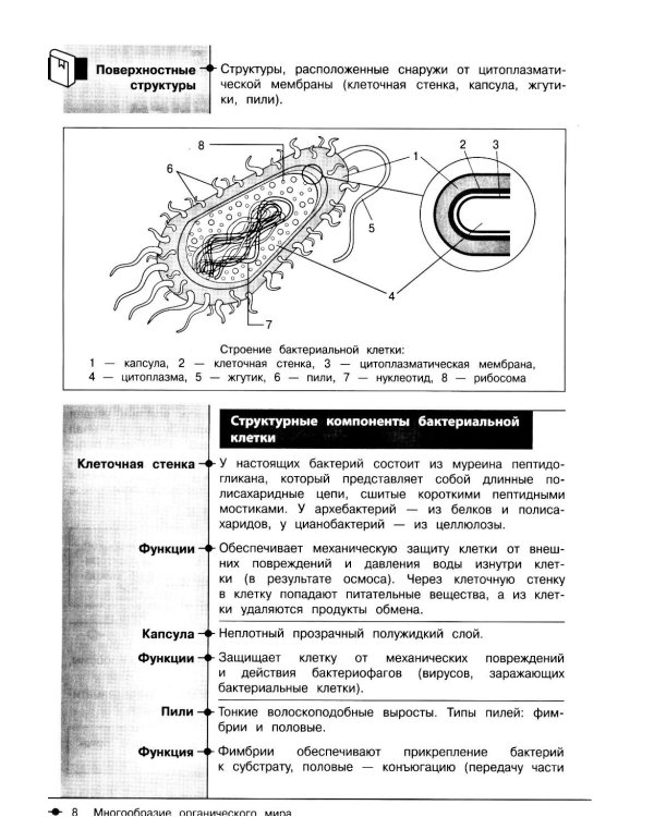 Биология