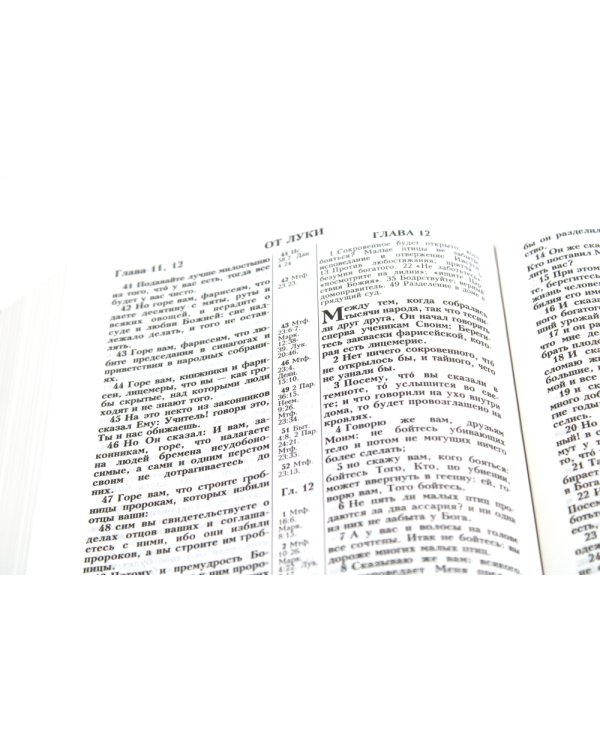 Библия. Синодальный перевод 1876 г. (073 М ИИЖ. Черная)