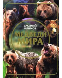 Медведи мира
