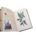 Дополнительное изображение книги «Яды. Секретная сила растений»