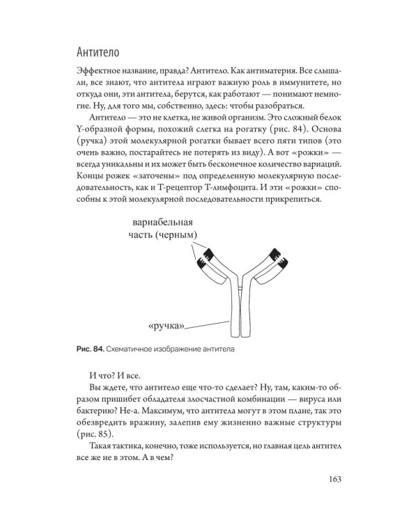 Дополнительное изображение книги «Армия иммунитета. Как два триллиона микроскопических существ хранят ваше здоровье и как им помочь»