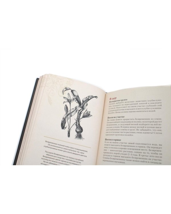 Дополнительное изображение книги «Яды. Секретная сила растений»