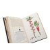 Дополнительное изображение книги «Яды. Секретная сила растений»
