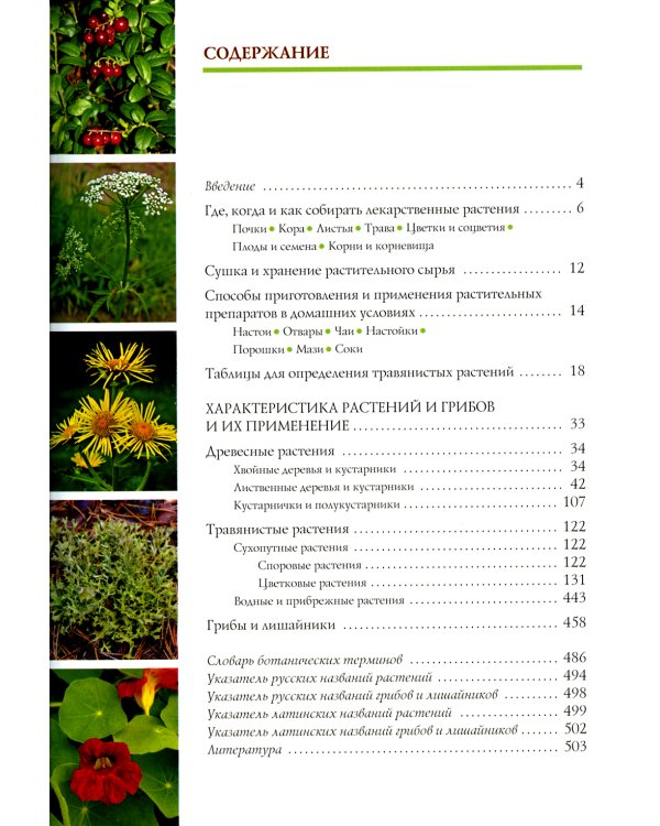 Растения средней полосы России: Фотоопределители (комплект из 2-х книг)