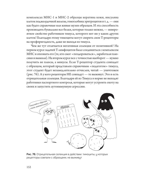 Дополнительное изображение книги «Армия иммунитета. Как два триллиона микроскопических существ хранят ваше здоровье и как им помочь»