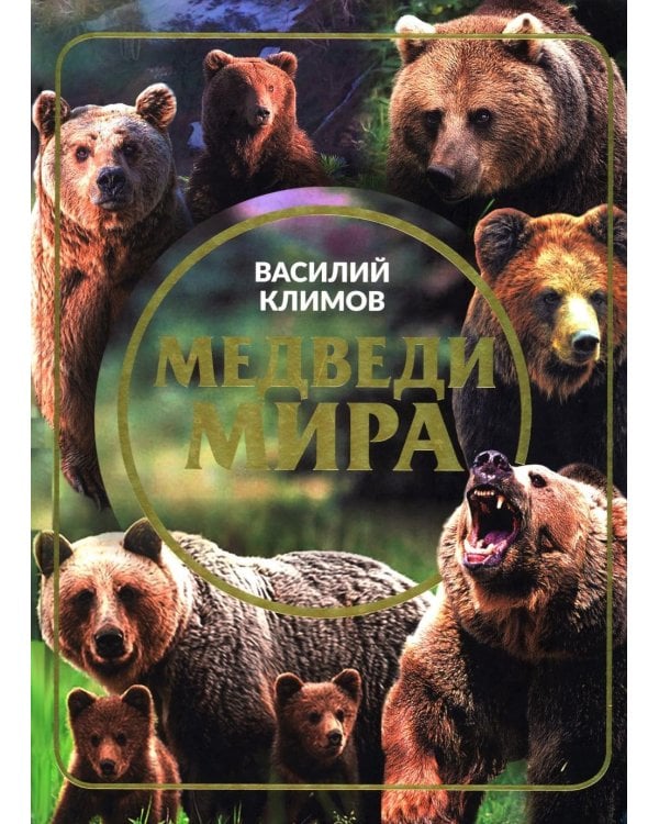 Дополнительное изображение книги «Медведи мира»