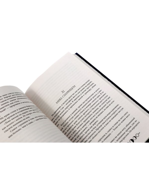 Ковен озера Шамплейн; Заблудших ведьм (комплект из 2-х книг)