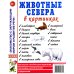 Животные севера в картинках. Наглядное пособие для педагогов, логопедов, воспитателей и родителей