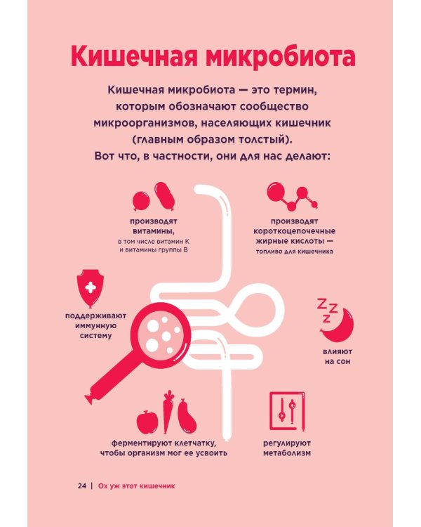 Ох уж этот кишечник. Путеводитель по пищеварительному тракту и его обитателям