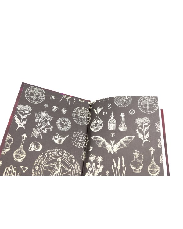 Ковен озера Шамплейн; Заблудших ведьм (комплект из 2-х книг)