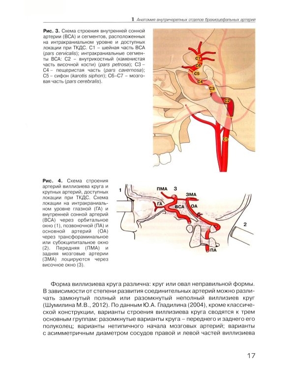 Дуплексное сканирование внутричерепных отделов брахиоцефальных артерий и вен. Учебное пособие