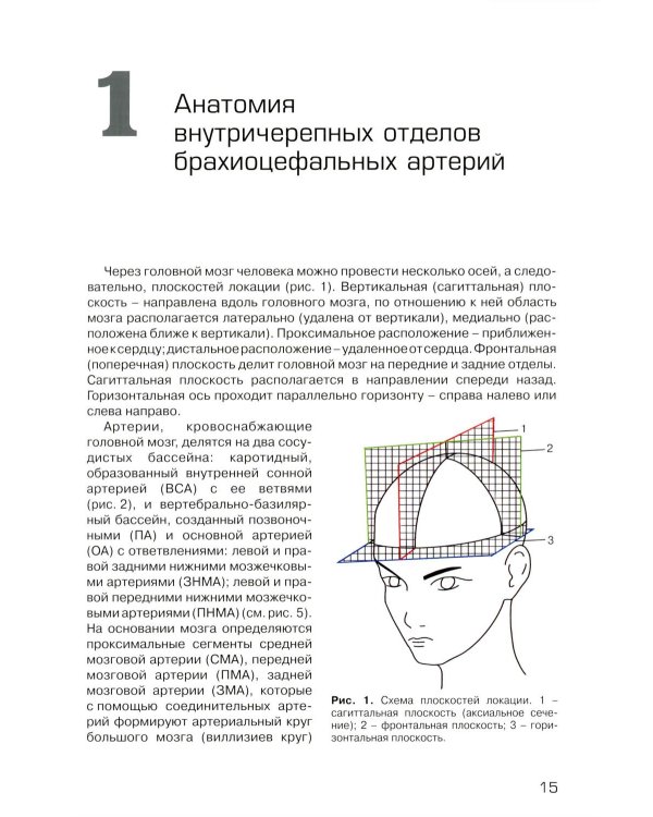 Дуплексное сканирование внутричерепных отделов брахиоцефальных артерий и вен. Учебное пособие