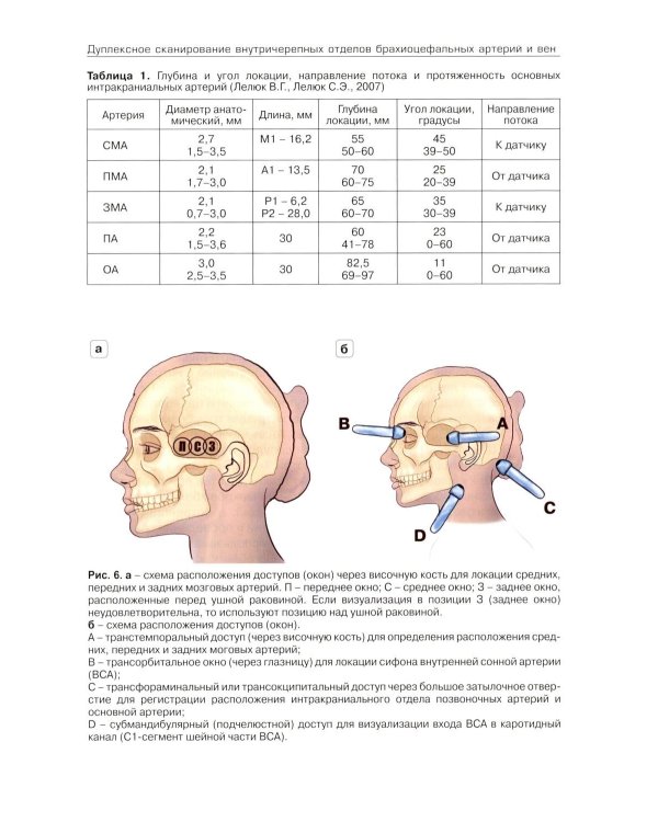 Дуплексное сканирование внутричерепных отделов брахиоцефальных артерий и вен. Учебное пособие