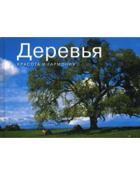 Деревья. Красота и гармония