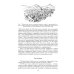 Дополнительное изображение книги «Ацтеки, майя, инки. Великие царства древней Америки»