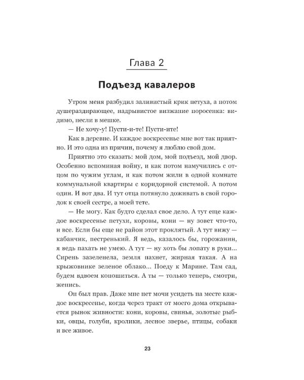 Чёрный замок Ольшанский: роман