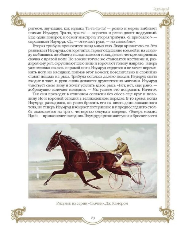 Лучшие истории о лошадях. Рыжие, гнедые, вороные…