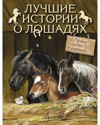 Лучшие истории о лошадях. Рыжие, гнедые, вороные…