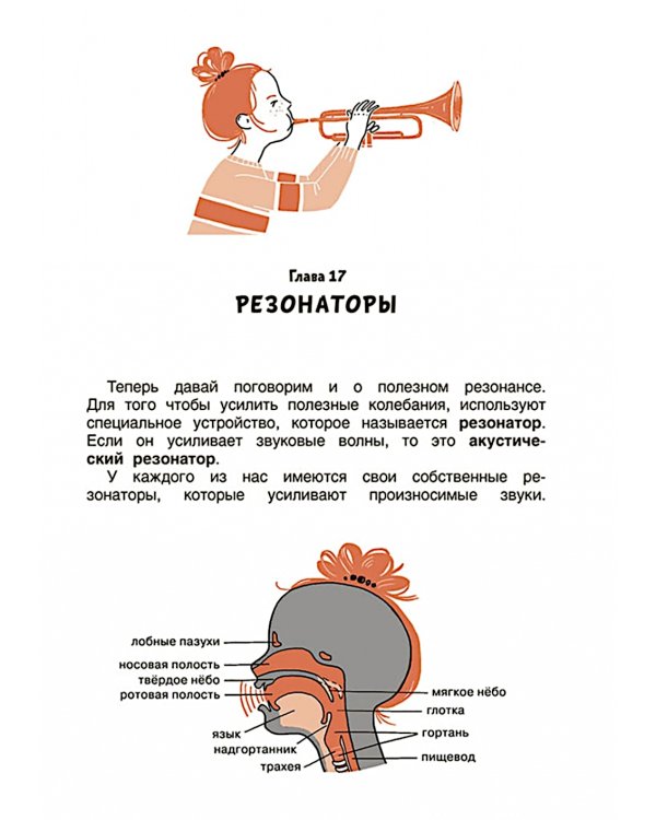 Свет и звук. Физика для детей