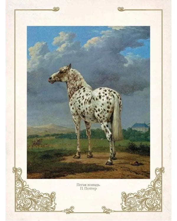 Лучшие истории о лошадях. Рыжие, гнедые, вороные…