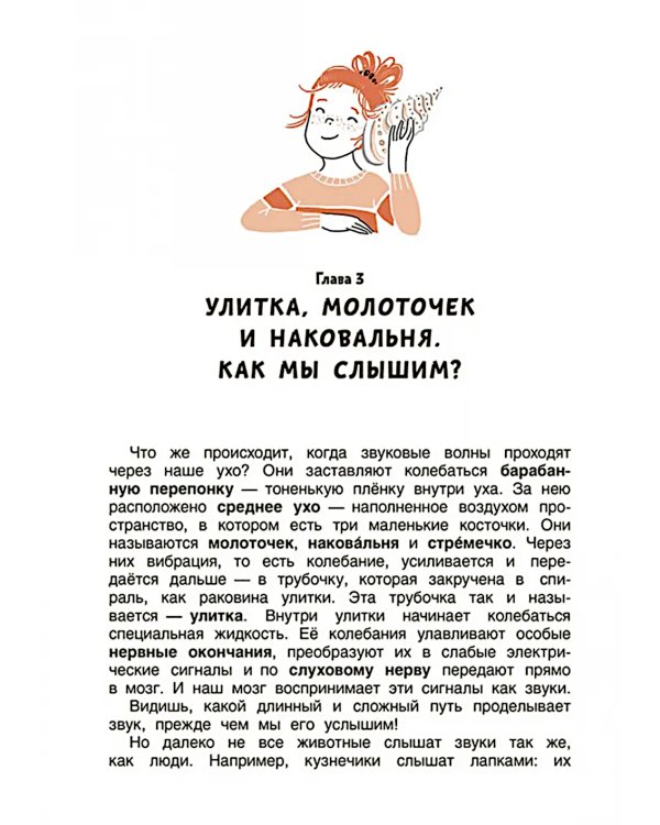 Свет и звук. Физика для детей