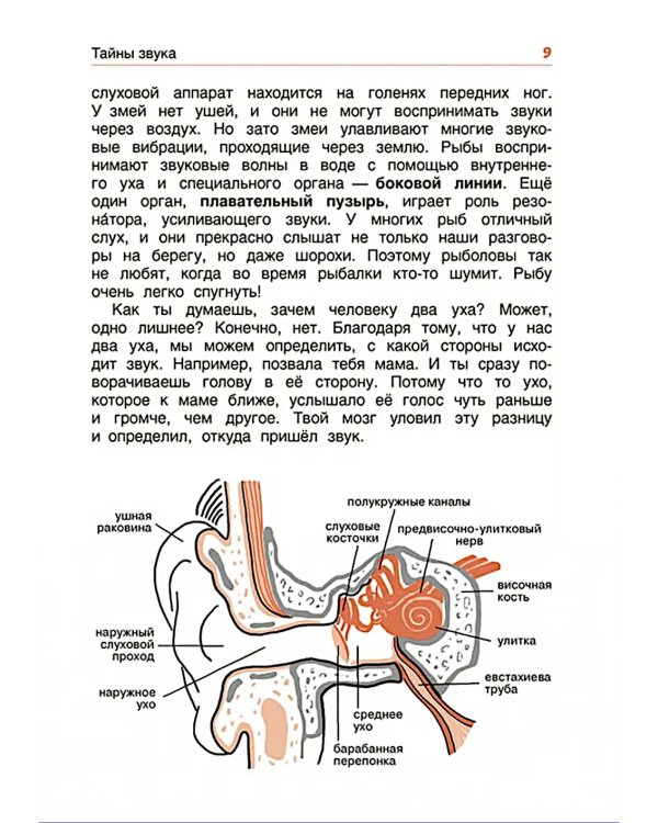 Свет и звук. Физика для детей