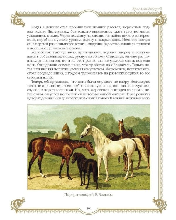 Лучшие истории о лошадях. Рыжие, гнедые, вороные…