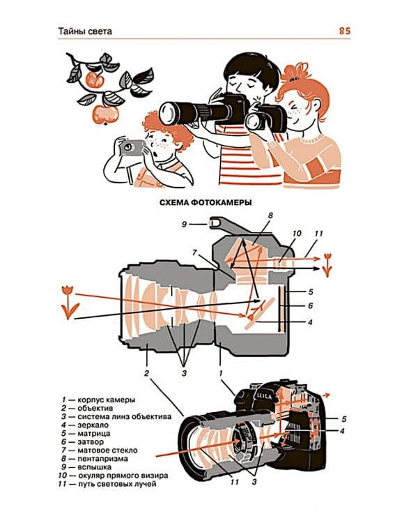 Свет и звук. Физика для детей
