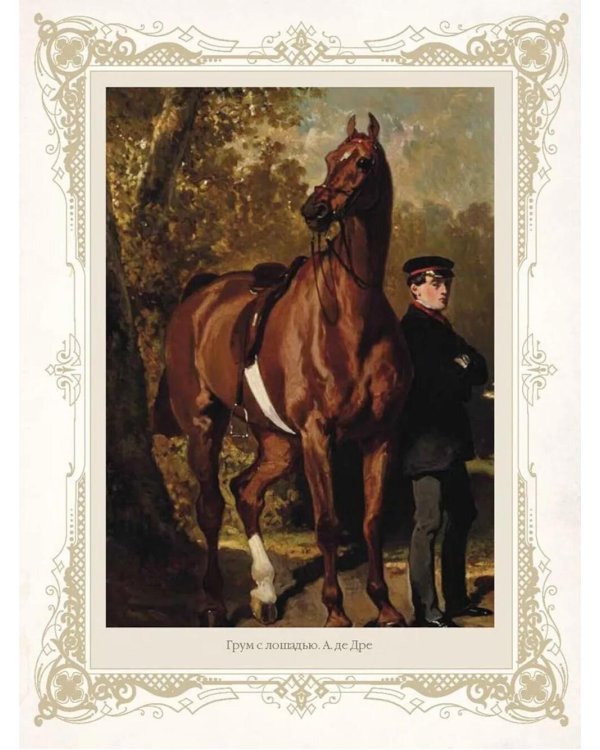 Лучшие истории о лошадях. Рыжие, гнедые, вороные…