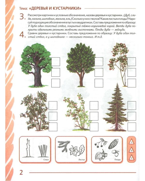 Развиваем связную речь у детей 6-7 лет с ОНР. Альбом 1. Мир растений