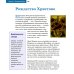 Детям о Православии. О праздниках