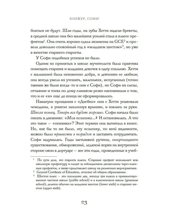 Бонжур, Софи: роман