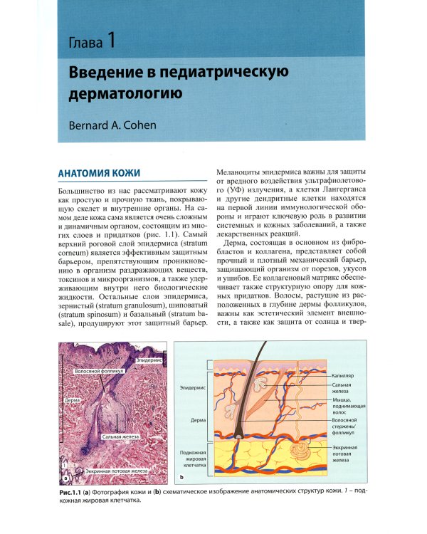 Педиатрическая дерматология. 3-е изд