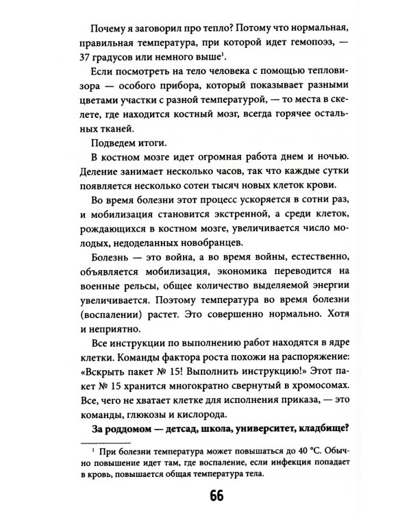 Кровавый коктейль. Из чего состоит и как функционирует ваша кровь