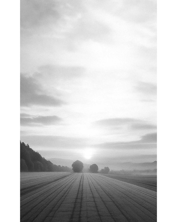 Что нам нужно для счастья? Как не прожить чужую жизнь