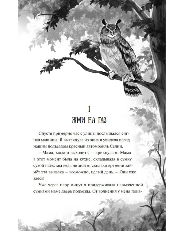 Зачарованные крылья