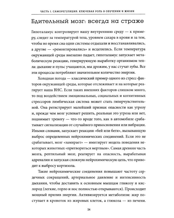 Саморегуляция: как помочь ребенку (и себе) справляться со стрессом