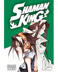 Король шаманов. Т. 12: манга