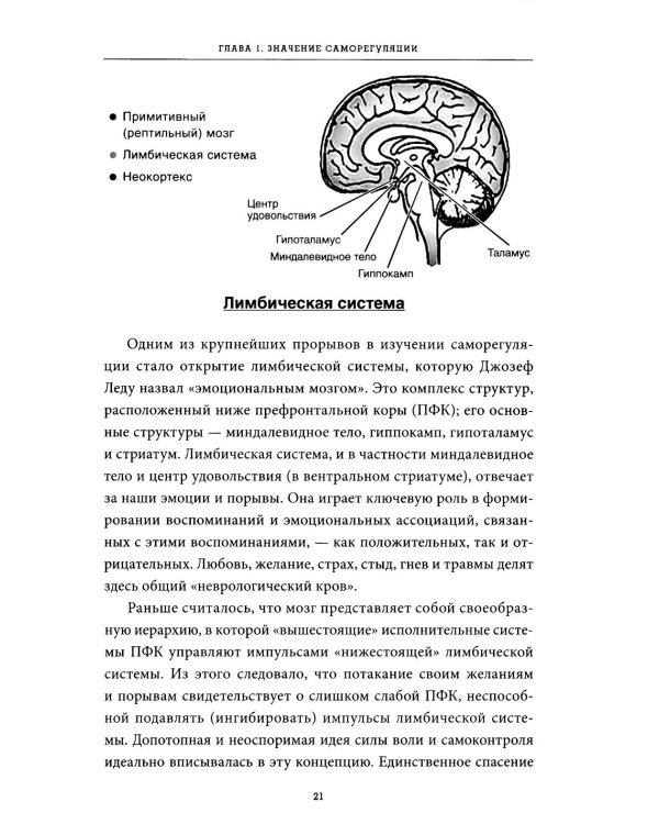 Саморегуляция: как помочь ребенку (и себе) справляться со стрессом