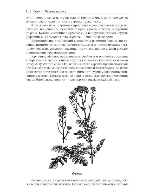 Кухня Робинзона. Рецепты блюд из дикорастущих и декоративных растений. 3-е изд., испр. и доп