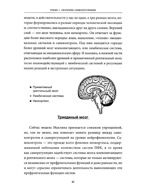 Саморегуляция: как помочь ребенку (и себе) справляться со стрессом